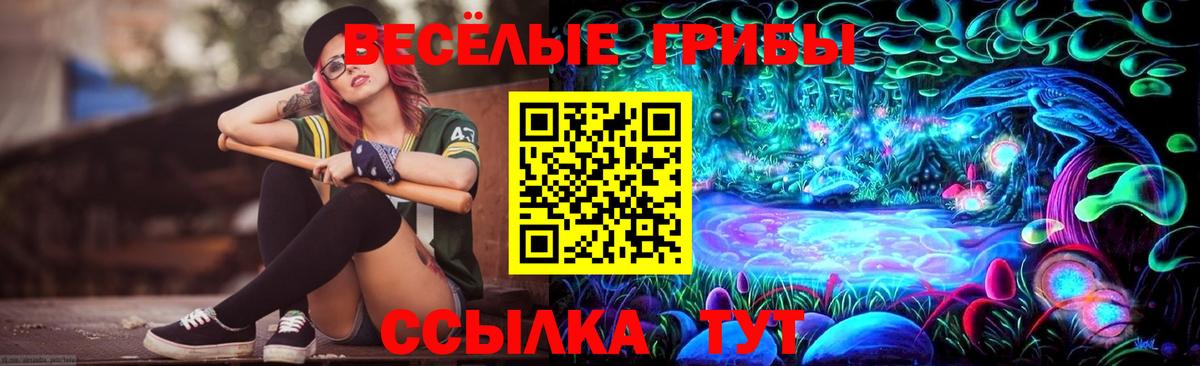 Псилоцибиновые грибы мицелий  Псилоцибиновые грибы прущие грибы  Вход с VPN  Ставрополь 